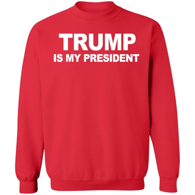 Trump Is My President T Shirt Hoodie Trump Is My President T Shirt Hoodie