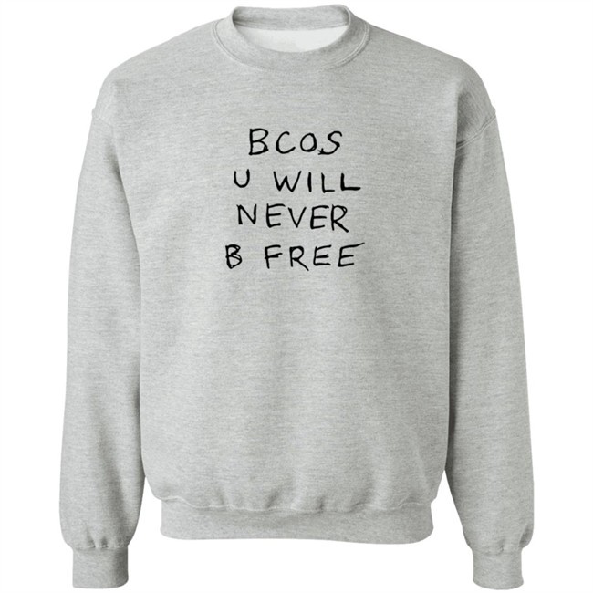 Rex Orange County Merch Bcos U Will Nevel B Free Hoodie Rex Orange County Merch Bcos U Will Nevel B Free Hoodie