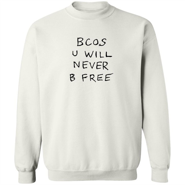 Rex Orange County Merch Bcos U Will Nevel B Free Hoodie Rex Orange County Merch Bcos U Will Nevel B Free Hoodie