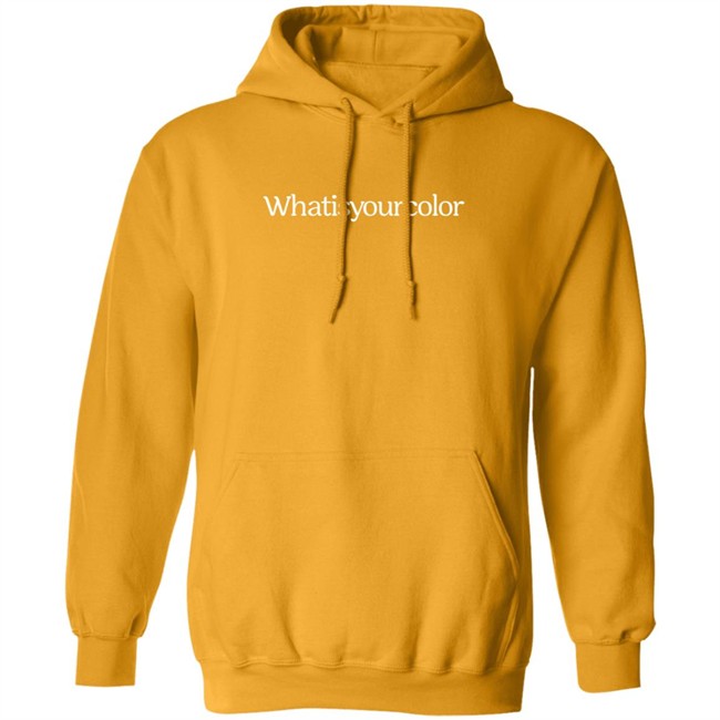 Slowacid Merch What Is Your Color Hoodie